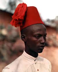 Stuart Humphryes (@official_babelcolour) • Instagram photos and videos