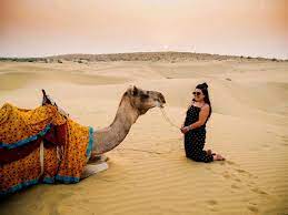 Our jaisalmer camel safari experience with them was exceptionally great. Camel Safari In Jaisalmer 8 Important Tips To Have A Great Time