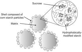 Amorphous Amorphous Phase Separation In Hydrophobically Modified Starch Sucrose Blends I Phase Behavior And Thermodynamic Characterization Sciencedirect