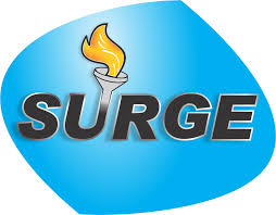 نتیجه جستجوی لغت [surge] در گوگل