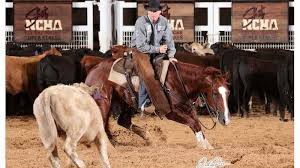 RESULTS: 2022 NCHA Super Stakes