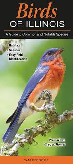 Birds Of Southern Illinois Book Birds Of Illinois Common Birds Birds Of Georgia South Carolina