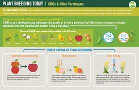The united states food supply is considered one of the safest & most abundant food supplies. What Are Genetically Modified Organisms Gmo Examples Gmo Answers