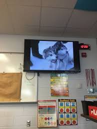 Pin By Xavier On Eight Below Dvd 2006 Full Frame Electronic Products Full Frame Flatscreen Tv