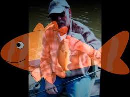 Download Bobby Bare The Great American Fisherman Youtube