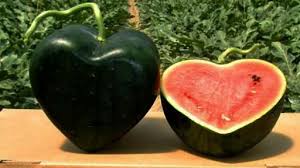 Curious food video what's inside? Heart Shaped Watermelon Cube Watermelon Square Watermelon Posts Facebook