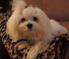 My Baby