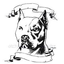 Black And White Pitbull Tattoos Http Www Cliparthut Com Clip Arts 1188 Pitbull Head Drawing 1188514 Jpg Pitbull Drawing Pitbull Art Pitbull Tattoo