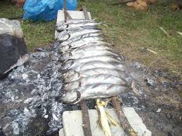 Ikan tuna di besar giler. Menikmati Ikan Tongkol Bakar Steemit