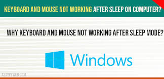 By the way, it did this three times before the troubleshooter completed. How To Fix Keyboard And Mouse Not Working After Sleep On Computer A Savvy Web