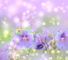 Free Spring Desktop Wallpaper Spring 8 Free Wallpapers Free Desktop Wallpapers Hd Wallpape Spring Desktop Wallpaper Free Spring Wallpaper Spring Wallpaper