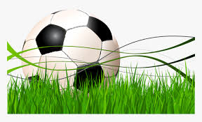 Transparent Field Png Free Football Background Vector Png Download Transparent Png Image Pngitem 9,000+ vectors, stock photos & psd files. free football background vector png