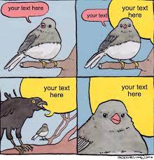 Annoyed Bird Meme Maker