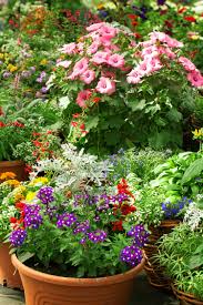 Blumen Im Gewachshaus Gewachshausbepflanzung Selfkant Wolters Plants Garden