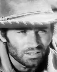 Clint Walker, Cheyenne Bodie **