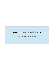 Https Regionreunion Com Img Pdf Orientations Budgetaires 2019 Pdf