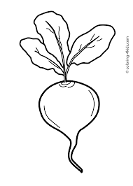 Leafy Vegetables Drawing For Kids In this video we are going to learn about how to draw radish for kids by using 2b pencil, pastel colour and black glass marking pencil. leafy vegetables drawing for kids
