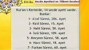 Semi'nâ ve ata'nâ tilavet secdesi nedir? Tilavet Secdesi Nedir Nasil Yapilir Ve Kuranda Secde Ayetleri Youtube