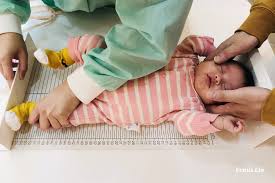 地球再发育(港) / 进化特区(台) / 超速度进化 / 进化 imdb: Cgslbhaphr Tom