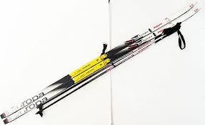 Fischer Royale Crown Grey Cross Country Sns Skis 195 Cm