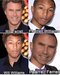 First time I've seen a possum