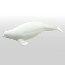 Top fin coral aquarium ornaments godzilla toys. Beluga Vinyl Model Animal Figure Hobbysearch Toy Store