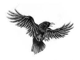 How To Draw Chinese Flying Crow Google Search À¹à¸­à¹à¸ À¸¢à¸£à¸­à¸¢à¸ª À¸ À¸¥à¸²à¸¢à¸ª À¸ À¸à¸ How to draw a crow step by step | for beginner learn how to draw a crow step by step in my drawing tutorials. how to draw chinese flying crow