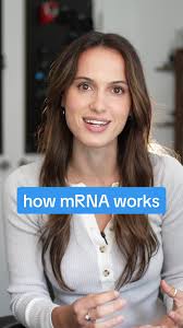 Understanding mRNA: The Blueprint of Protein Synthesis
