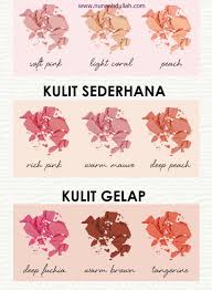 .warna peach dan contohnya sobat akan mendapatkan arti warna peach contoh warna peach satu dress peach pink yang sangat cantik kombinasi warnanya sangat lembut dan menyejukkan. Tips Kenali Warna Blusher Yang Sesuai Dengan Kulit Anda