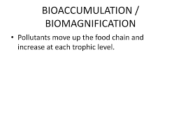 Ddt And Biomag Ppt Download
