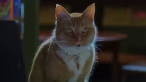 Subscribe to uwatchfree mailing list and get updates on latest released movies. Cats Dogs 3 Paws Unite Trailer Cats Dogs 3 Paws Unite Uk Trailer 1 Metacritic