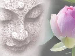 Các Khóa Tu và Thiện Nguyện của PHẬT TỬ