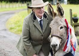Carluke teacher's donkey is three times Highland Show champion