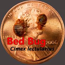 Tips for fighting and killing bedbugs. Bed Bug Control Kent Ohio Portage Pest Control