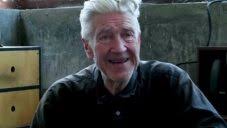 Fingered je kaleidoskopická animace vytvořená z rukou