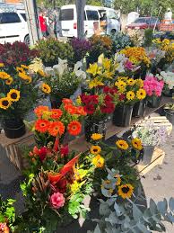 Sheila Morello Gonçalves (@sheilamorello) • Threads, Say more