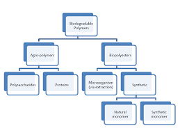 file biodegradable polymers flow chart png wikimedia commons