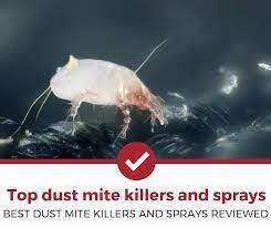 Pestgogo has experienced team who knows exactly what needs to be done. Top 5 Best Dust Mite Killers And Sprays 2021 Review Pest Strategies