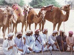 Here is a visual depiction of one of the amazing small moral stories, the arab and the camel. Al Taghrooda Abu Dhabi Culture