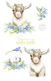 Goat Baby Animal Watercolor Clipart Easter Eggs Nursery Etsy Baby Animal Drawings Goat Art Goat Paintings