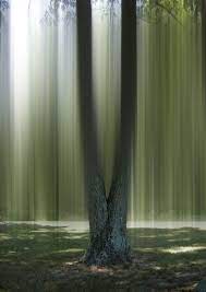Log In Tumblr Abstract Photography Creative Landscape Nature Photography