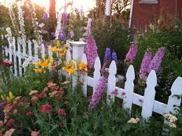 Pin On Gardening