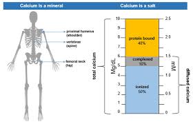 Normal Calcium Levels What Is A High Calcium Level Normal