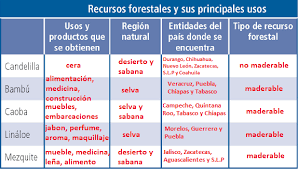 El libro all ready english de secundaria segundo año palabras de histori de libro de tercer grado de secundaria caligrafia 3 santillana cursiva pdf freepdf 3 eso sociales santillana argumentos 7 editorial santillana libros santillana el salvador argumentos 7. Libro De Geografia 4 Grado Contestado Paco El Chato