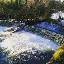 Anne Stack (@stackanne) • Instagram photos and videos