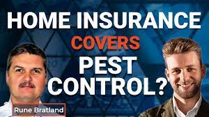 What is homeowners insurance and what does it cover? Ep 15 Home Insurance Covers Pest Control Futura Germany