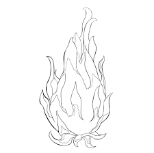 Itu terjadi antara oksigen di udara dan semacam bahan bakar. Contoh Gambar Sketsa Cara Mewarnai Buah Naga Kataucap