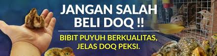 Bagi para pencari kerja yang berminat dengan lowongan kerja pt bank bri 2021 dan merasa memenuhi seluruh kebutuhan yang dipersyaratkan perusahaan untuk dapat segera melengkapi. Lowongan Kerja Di Demak Lowongan Kerja Jun 2021 Jobstreet