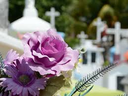 There are specific flowers for funerals because they symbolize different meanings. Funeral Flower Etiquette Funeral Guide