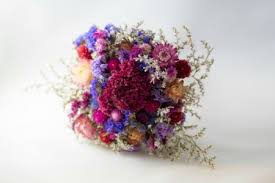 We did not find results for: Drying Flowers In Microwave Thriftyfun